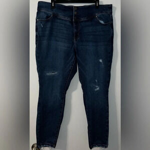 Women’s Lane Bryant High Rise Jeggings